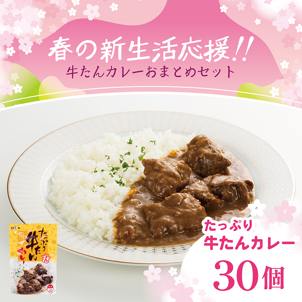 春の新生活応援！牛たんカレーおまとめセット